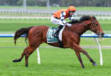 Jockey in orange cap and vest riding a brown horse with a green numbered saddle cloth (10) on a grassy racetrack during a race.