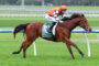 Jockey in orange cap and vest riding a brown horse with a green numbered saddle cloth (10) on a grassy racetrack during a race.