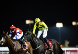 Jockey in bright yellow polka-dot silks riding a dark horse at a nighttime horse race, other riders nearby.