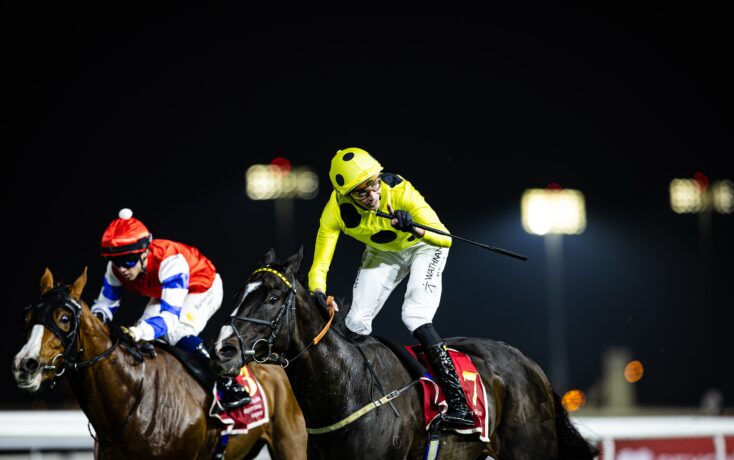 Jockey in bright yellow polka-dot silks riding a dark horse at a nighttime horse race, other riders nearby.