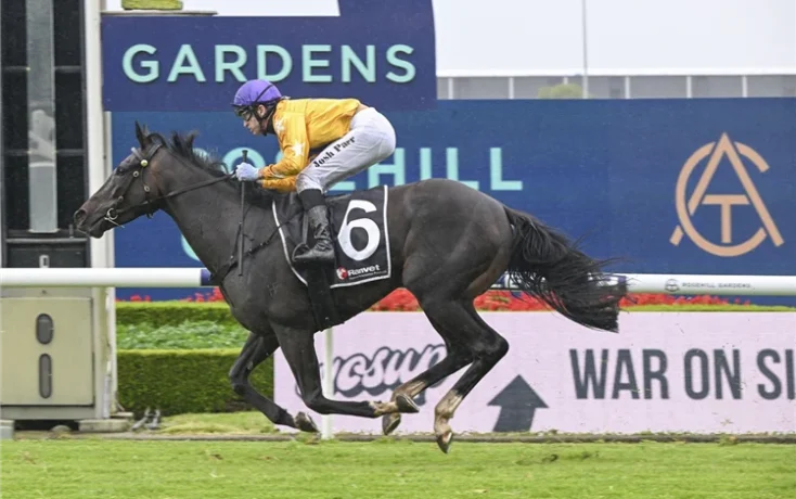 Jockey in yellow silks and purple helmet riding a dark horse with the number 6 in a race on a grassy track, advertising boards in the background.