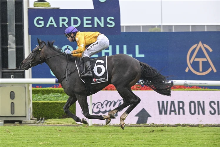 Jockey in yellow silks and purple helmet riding a dark horse with the number 6 in a race on a grassy track, advertising boards in the background.