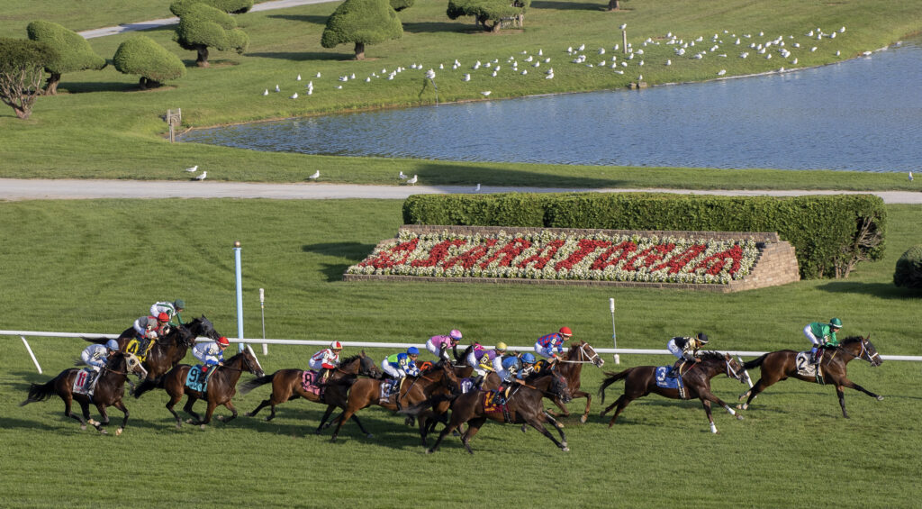 Horse race on a green turf track with jockeys in colorful silks, a pond and trimmed landscaping in the background.