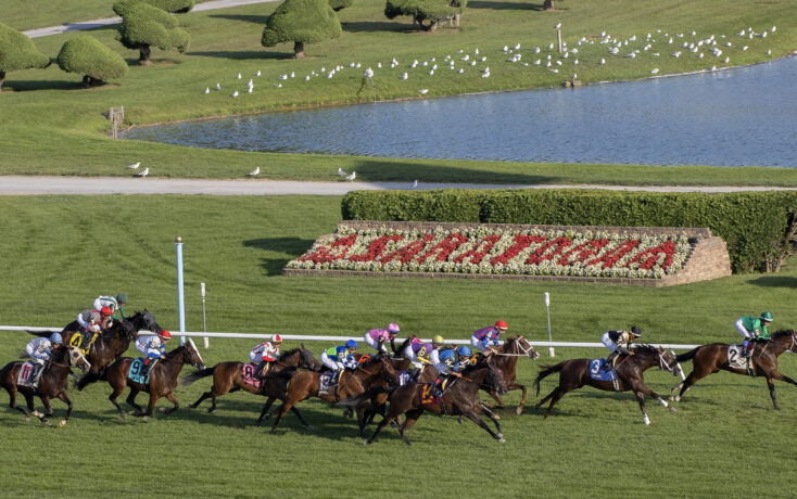 Horse race on a green turf track with jockeys in colorful silks, a pond and trimmed landscaping in the background.