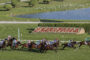 Horse race on a green turf track with jockeys in colorful silks, a pond and trimmed landscaping in the background.