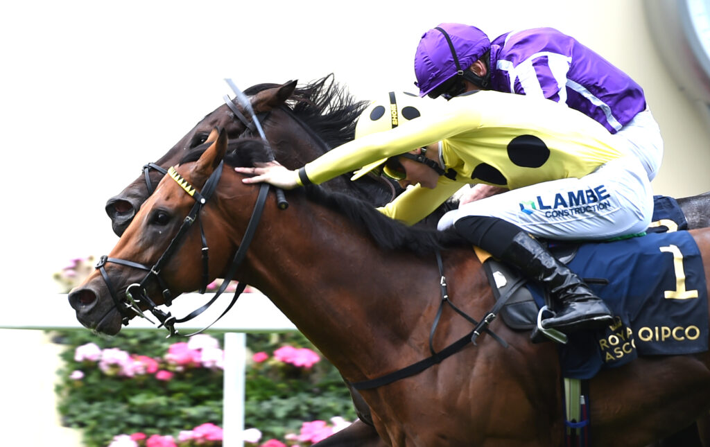 Two jockeys in purple and yellow silks ride a galloping brown horse during a race, leaning forward in competition.
