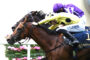 Two jockeys in purple and yellow silks ride a galloping brown horse during a race, leaning forward in competition.
