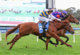 Two jockeys in blue-yellow and blue-red silks race side by side on brown horses, galloping on a grassy track under a large screen.