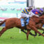 Two jockeys in blue-yellow and blue-red silks race side by side on brown horses, galloping on a grassy track under a large screen.