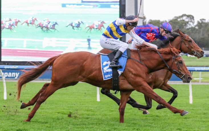 Clevor Trever heads odds in Silver Bowl Series Final market at ...