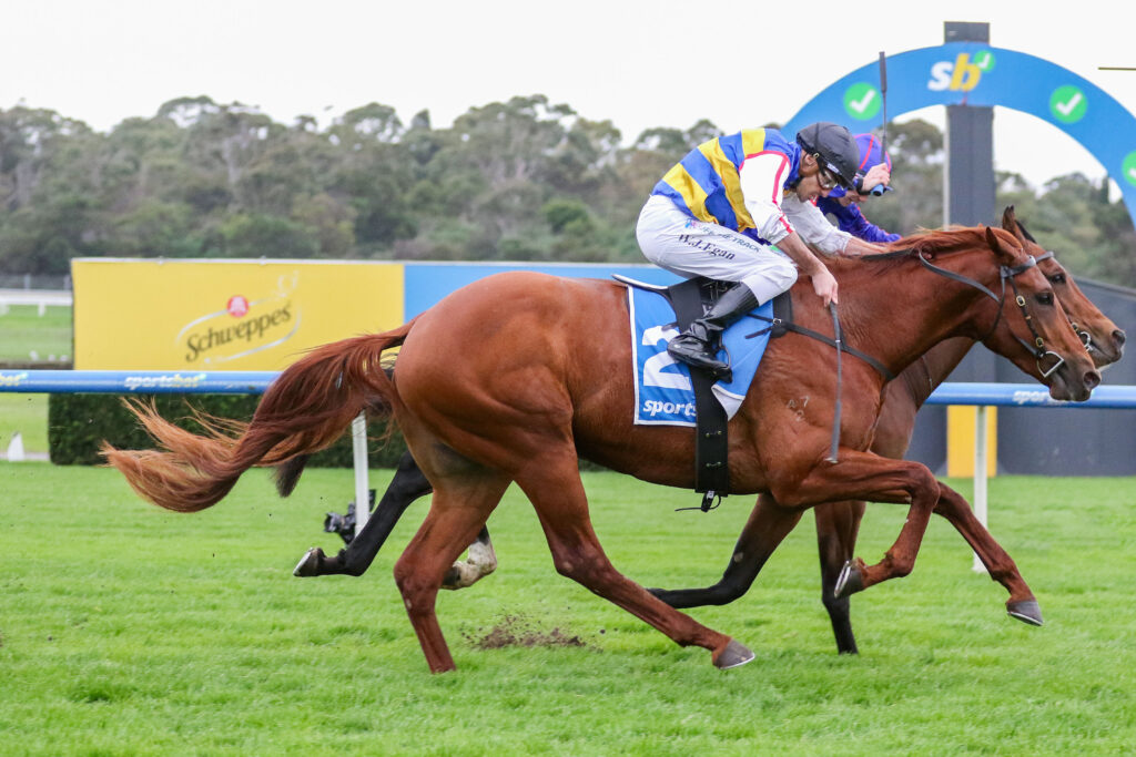 Two jockeys race side by side on galloping horses across a grassy track, with colorful racing silks and onlookers in the background.