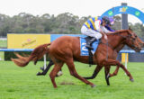 Two jockeys race side by side on galloping horses across a grassy track, with colorful racing silks and onlookers in the background.