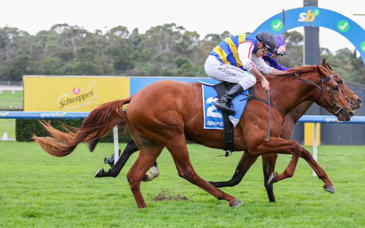 Two jockeys race side by side on galloping horses across a grassy track, with colorful racing silks and onlookers in the background.