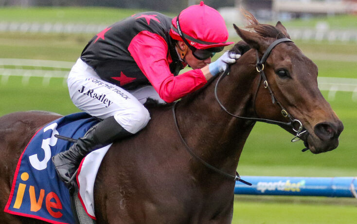 Jockey in pink helmet and red star-patterned vest riding a brown horse during a race on a grassy track, close to the camera.