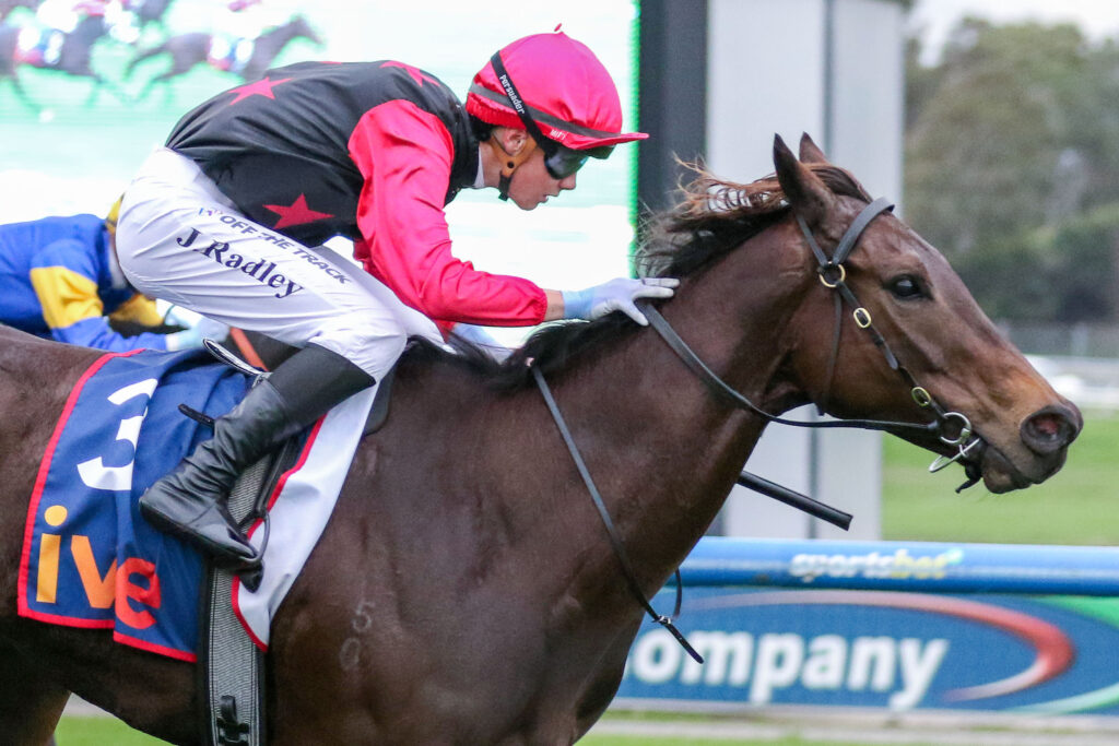 Jockey in red helmet and black-red silks riding a brown horse during a race, mid-jump.