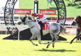 Jockey in red and white rides a gray horse over a hurdle at a Ladbrokes-sponsored race course.