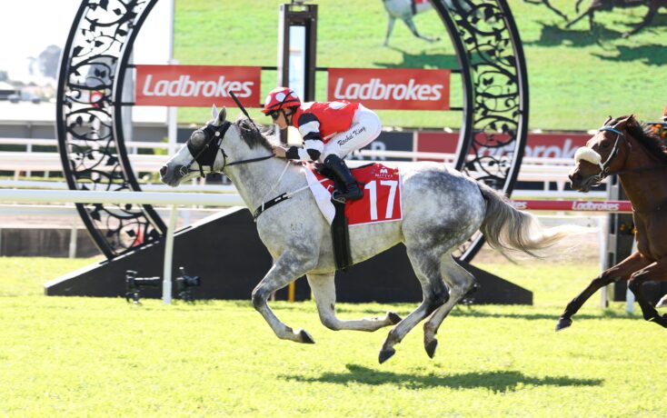 Jockey in red and white rides a gray horse over a hurdle at a Ladbrokes-sponsored race course.