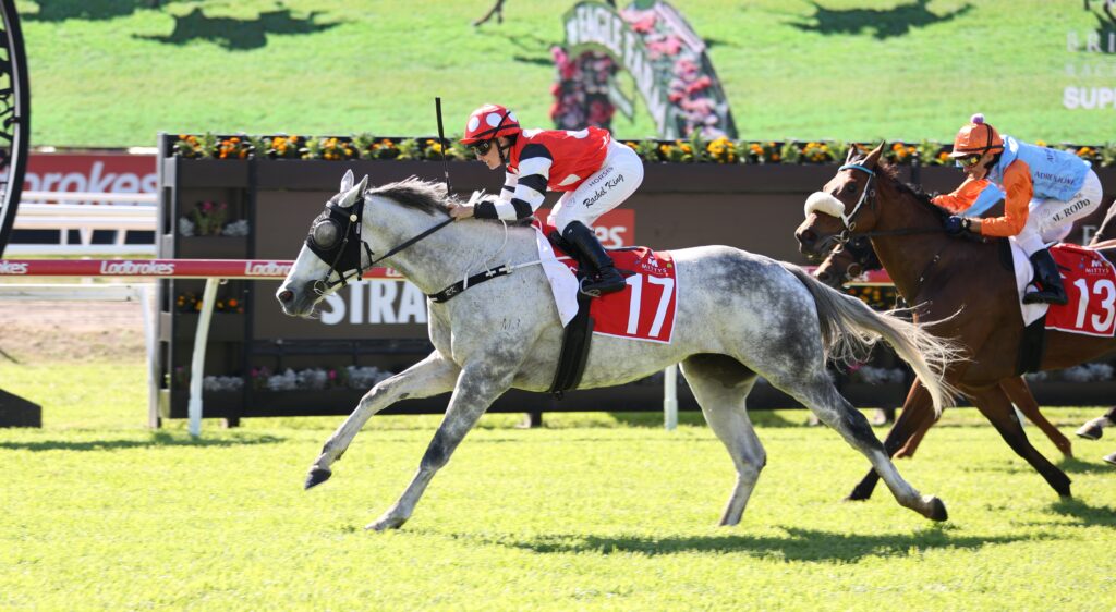 Jockey in red and white silks rides a gray horse wearing number 17 during a sunny horse race on a grassy track with another rider nearby.