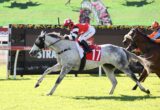 Jockey in red and white silks rides a gray horse wearing number 17 during a sunny horse race on a grassy track with another rider nearby.