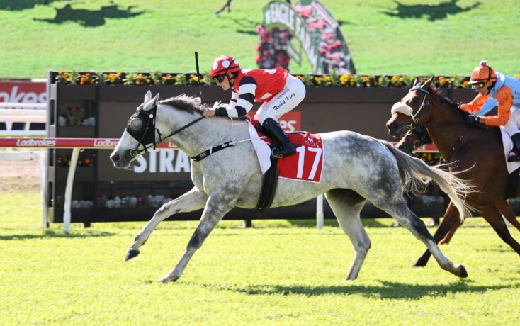 Jockey in red and white silks rides a gray horse wearing number 17 during a sunny horse race on a grassy track with another rider nearby.