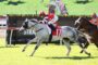 Jockey in red and white silks rides a gray horse wearing number 17 during a sunny horse race on a grassy track with another rider nearby.