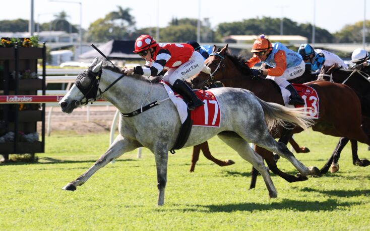 Grey racehorse leads a group of jockeys in a grassy track during a horse race, red-and-white silks visible on the winner's rider.