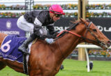 Jockey in a pink helmet and black silks rides a chestnut horse at full gallop during a race, Flemington signage in the background.