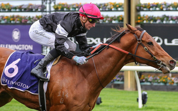Jockey in a pink helmet and black silks rides a chestnut horse at full gallop during a race, Flemington signage in the background.