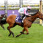 Two jockeys ride racehorses at Flemington, racing hard on a grassy track with banners and flowers in the background.
