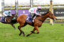 Two jockeys ride racehorses at Flemington, racing hard on a grassy track with banners and flowers in the background.