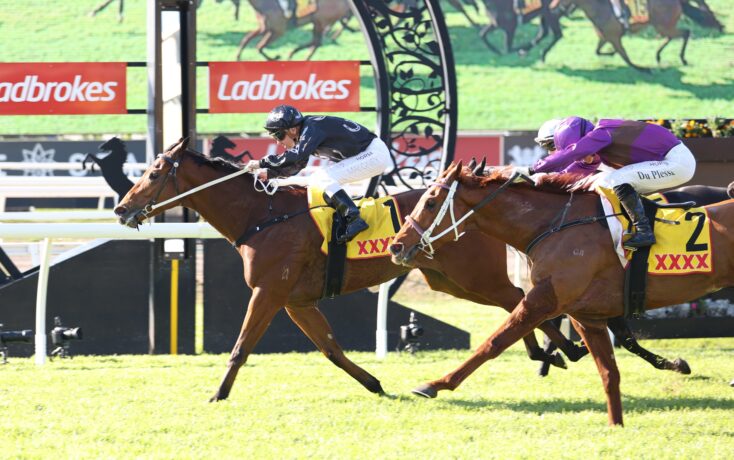 Two jockeys sprint toward the finish on galloping horses, with Ladbrokes banners in the background.