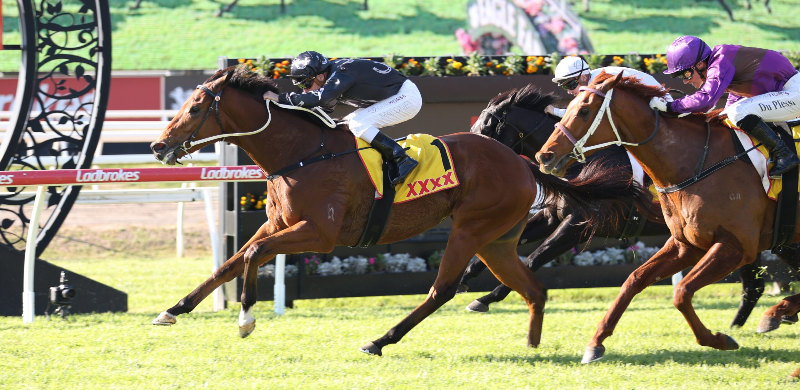 Jockeys race side by side on horses speeding down the track, brown horse in front with yellow XXX saddle cloth and red trim, Ladbrokes railing in background.