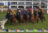 Jockeys in colorful silks racing closely on a green turf track with white rails, all aiming for the lead in a crowded horse race broadcast.