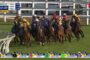 Jockeys in colorful silks racing closely on a green turf track with white rails, all aiming for the lead in a crowded horse race broadcast.
