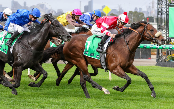Group of thoroughbreds galloping at full speed during a horse race, jockeys in bright silks leaning forward on the track.