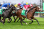 Group of thoroughbreds galloping at full speed during a horse race, jockeys in bright silks leaning forward on the track.