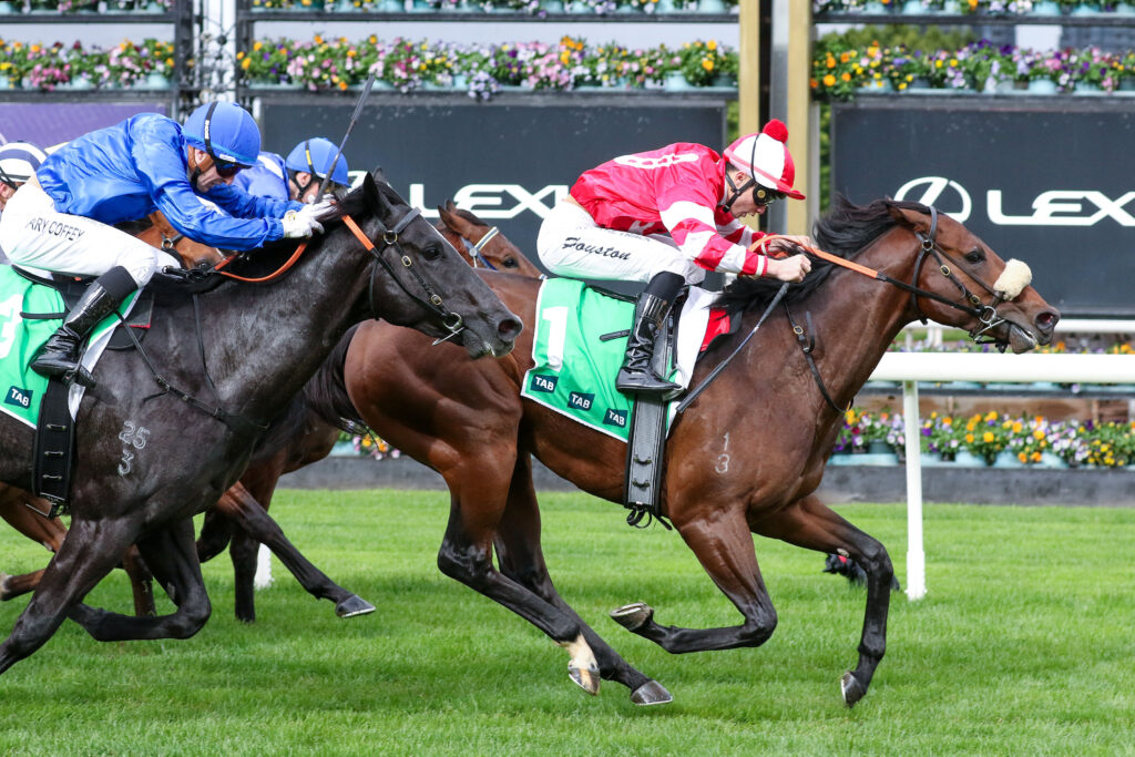 Horse race in progress with two jockeys leaning forward, blue silks vs red and white, galloping across grass track with green turf and cheering rail in background.