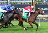 Horse race in progress with two jockeys leaning forward, blue silks vs red and white, galloping across grass track with green turf and cheering rail in background.