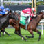 Horse race in progress with two jockeys leaning forward, blue silks vs red and white, galloping across grass track with green turf and cheering rail in background.