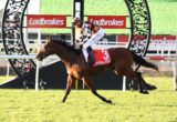 Jockey in orange-black checkered silks riding a bay horse over a hurdle with a red number 3 saddlecloth reading 'FIREBALL MISS' at a racetrack with Ladbrokes banners behind.
