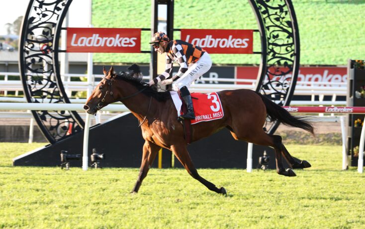 Jockey in orange-black checkered silks riding a bay horse over a hurdle with a red number 3 saddlecloth reading 'FIREBALL MISS' at a racetrack with Ladbrokes banners behind.