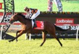 Jockey in orange‑black checkered silks riding a brown horse with a red saddlecloth number 3 (Fireball Miss) mid-jump at a Ladbrokes-sponsored racecourse with banners in the background.