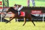 Jockey in orange‑black checkered silks riding a brown horse with a red saddlecloth number 3 (Fireball Miss) mid-jump at a Ladbrokes-sponsored racecourse with banners in the background.