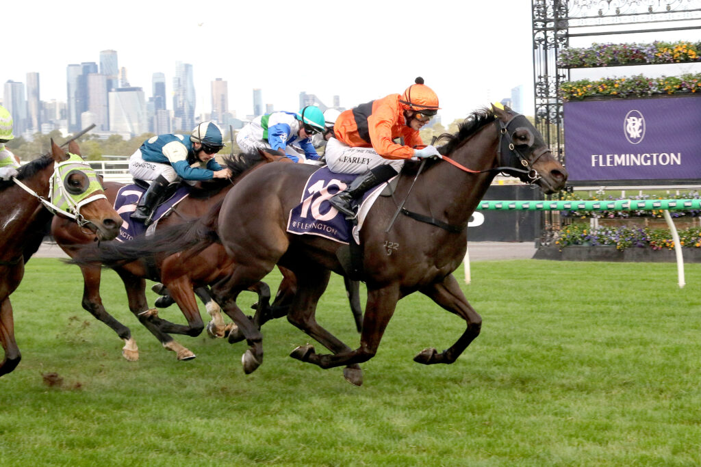 GhettoSupastar-20260606-7619 | Just Horse Racing Group of racehorses and jockeys sprinting on a green turf track at Flemington, with a purple Flemington banner in the background and city skyline visible behind.