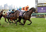 Group of racehorses and jockeys sprinting on a green turf track at Flemington, with a purple Flemington banner in the background and city skyline visible behind.