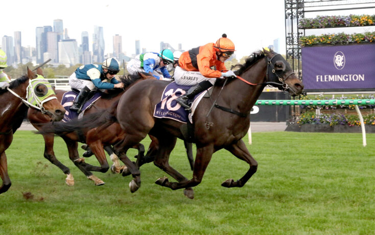 Group of racehorses and jockeys sprinting on a green turf track at Flemington, with a purple Flemington banner in the background and city skyline visible behind.