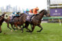 Group of racehorses and jockeys sprinting on a green turf track at Flemington, with a purple Flemington banner in the background and city skyline visible behind.