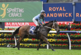 Horse and rider in mid-gallop on a racecourse with colorful sponsor banners in the background, including 'Sporting Chance Cancer Foundation' and 'Royal Randwick' signage.