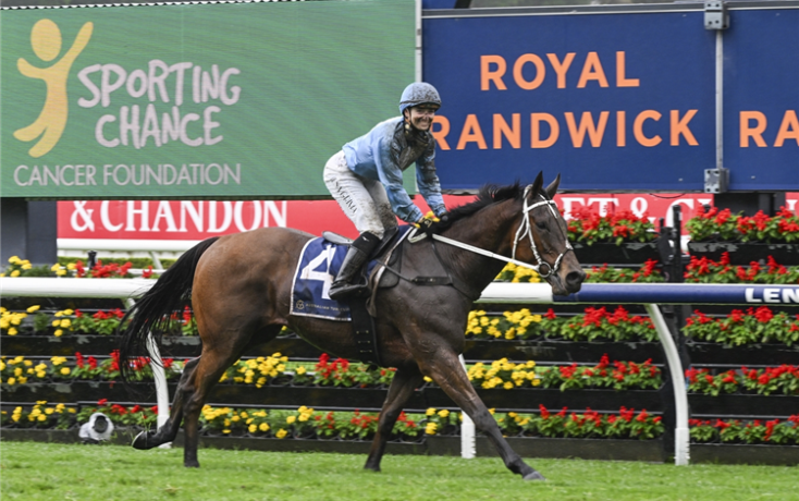 Horse and rider in mid-gallop on a racecourse with colorful sponsor banners in the background, including 'Sporting Chance Cancer Foundation' and 'Royal Randwick' signage.
