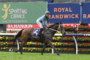 Horse and rider in mid-gallop on a racecourse with colorful sponsor banners in the background, including 'Sporting Chance Cancer Foundation' and 'Royal Randwick' signage.